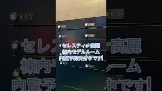 鹿児島市　新築マンション　アミュプラザ近く　二人暮らし　1LDK