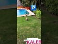 "Kaleb"|daddy yankee vevo