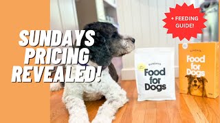 Sundays Pricing Revealed & How Much to Feed Your Dog - New Turkey Recipe Review | MealFinds