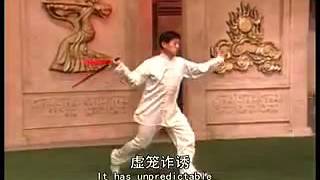 陈氏太极拳单剑 陈正雷 - Chen Zhenglei Chen style Tai Chi Single Sword (VCD1)