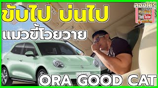 ขับไปบ่นไป Ora Good Cat แมวขี้โวยวาย - ลองให้รู้ By น้าปู