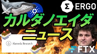 カルダノにクジラ到来。FTXの崩壊から見えるものとは？