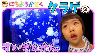 【山形観光】世界一のクラゲ展示!?クラゲドリーム館(加茂水族館)に行ってきました♪｜日曜家族#385 (*´ω`*)