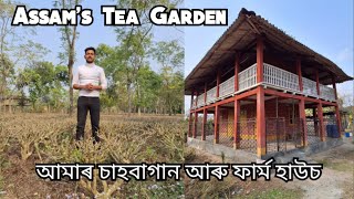 Tea Garden and Farm House Visit | Tea Gardening in Assam |