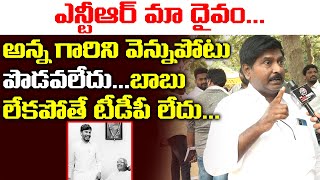 బాబు లేకపోతే టీడీపీ లేదు | Sr NTR Fan Superb Words About Chandrababu | LEO News