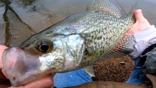 Big Slab Crappie Madness - Fishing for Long Island Spring Crappies