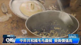 中非共和國毛毛蟲餐 營養價值高｜中央社影音新聞