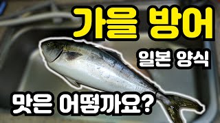 가을 방어 (일본 양식) 회뜨기 및 비교