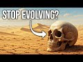 Why Did Humans Stop Evolving? | Documentary For Sleep