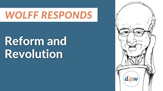 Wolff Responds: Reform and Revolution