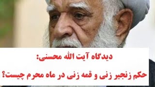 حکم زنجیر زنی و قمه زنی از دیدگاه ایت الله محسنی