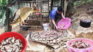 Building a New Life - Episode 3 | Fish Harvesting and Processing | Alex Garden Farm