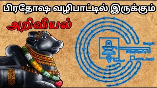 பிரதோஷ வழிபாட்டில் இருக்கும் அறிவியல் உண்மை | Tamil chinthanaiyalar peravai | தமிழ்நுட்பம்