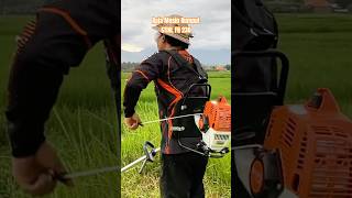 Inilah Raja Mesin Potong Rumput STIHL FR 230