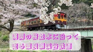 満開の桜並木を走る渡良瀬渓谷鉄道の雄姿