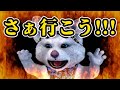 【阪神タイガース 阪神優勝 虎ファン集合】 9 24 阪神タイガース 対 中日ドラゴンズ 一緒に応援 阪神一球実況配信 阪神タイガース 最多安打 中野拓夢 才木浩人