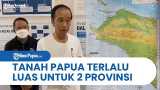 Reaksi Tegas Jokowi soal DOB Papua: Itu Permintaan dari Bawah, Memudahkan Pelayanan