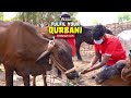 Honour the Sunnah and Give — Your Qurbani Can Make a Difference