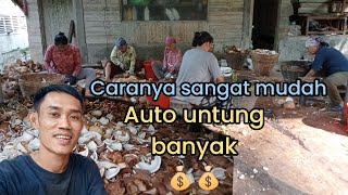 tips dan trik usaha pembuatan kopra agar mendapatkan keuntungan besar‼️