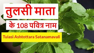 मां तुलसी के 108 नाम | Tulasi Ashtottara Satanamavali | Tulsi Mata ke 108 Naam | Ekadashi | Box2Joy