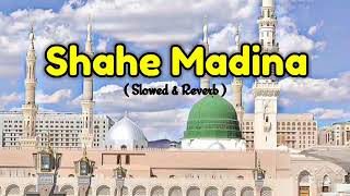 Shahe Madina ( Slowed & Reverb ) | Ahmad Raza Network 1
