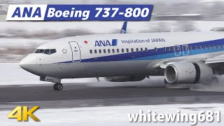 [B737-800] ANA Boeing 737-800 JA89AN LANDING TOYAMA Airport 富山空港 2021.12.18