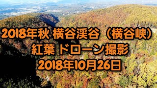 2018年秋 横谷渓谷（横谷峡） 紅葉 ドローン撮影