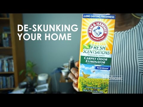How To Remove Skunk Smell From Your Home How To Remove Skunk Smell From Your Home