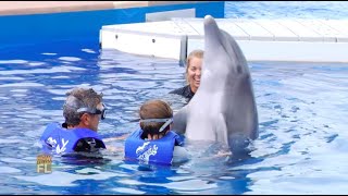 Swimming with dolphins in Marineland