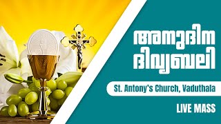 St.Antony's Church VADUTHALA, കൊച്ചി, ദിവ്യബലി ജനുവരി 25-01-2025 ,6.00 AM