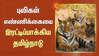 Tiger population rises in Tamilnadu | புலிகள் எண்ணிக்கையை இரட்டிப்பாக்கிய தமிழ்நாடு | Sun News