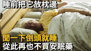 安眠藥可以扔了！睡前把它放枕邊，聞一下倒頭就睡，一覺睡到大中午丨養之道