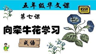 五年级华文 第七课 《 向牵牛花学习 》 成语 含义，汉语拼音，例句 KSSR SEMAKAN