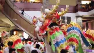 新春舞獅表演 | Chinese New Year Lion Dance 2015