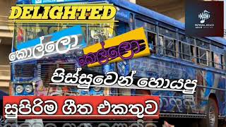 Delighted Super Nonstop Collection |කොල්ලො කෙල්ලො පිස්සුවෙන් හොයපු ඩිලයිටඩ්ලගෙ සුපිරිම සිංදු එකතුව|