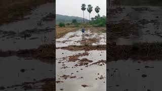 పక్క పొలాల వాళ్ళు అడుగు మందు చళ్ళుతున్నారు....... #farminglifeinanotherworld