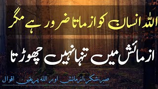 Sabr,Shukar Our Allah Par Yaqeen Aqwal💯Urdu Aqwal E Zareen🥀Allah Par Yakeen Quotes🥰Islamic_video