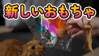 吸盤式自動猫じゃらし【茶々丸】