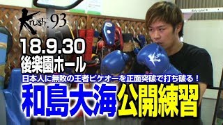 「Krush.93」9・30（日）後楽園　挑戦者・和島大海　“VS日本人無敗”の王者ピケオーを正面突破で打ち破る！