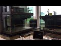 TECAN Freedom Evo & Genesis Automated Liquid Handlers for your lab In-Stock!