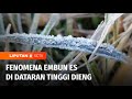 Kawasan Dataran Tinggi Dieng Dilanda Dingin Ekstrem Hingga Turun Embun Es | Liputan 6