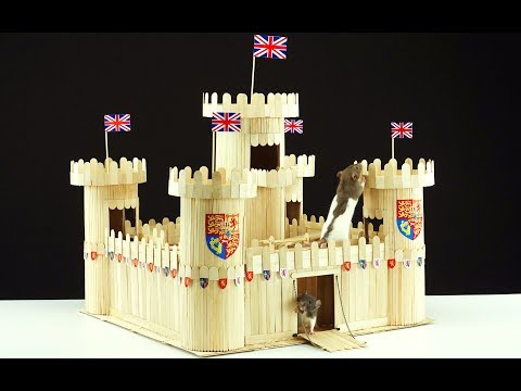 How to Make Beautiful Wooden Castle for 2 Pet Rats How to Make Beautiful Wooden Castle for 2 Pet Rats