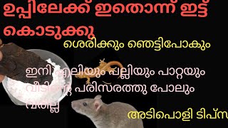 ഉപ്പ്‌ ശെരിക്കും ഒരു സംഭവം തന്നെ ഉപ്പിലേക്ക് ഇത് ഒന്ന് ഇട്ട് കൊടുക്കു ശെരിക്കും ഞെട്ടും