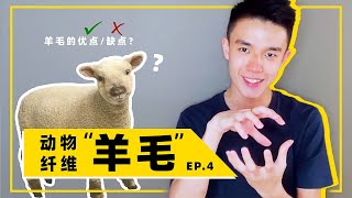 動物纖維 「羊毛」的優點\u0026缺點  【四大天王：棉／麻／絲／毛】EP. 4