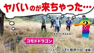 リュウのコモド島旅行記〈後編〉ガイドもコモドドラゴンも困惑？ヤバいのが上陸したコモド島！