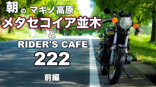 【モトブログ】朝のメタセコイア並木とRIDER'S CAFE222 前編【ゼットワン】