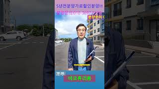 제주5년전분양가로할인분양#에코휴리움 #제주부동산