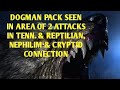 DOGMAN PACK SEEN IN AREA OF 2 ATTACKS IN TENN. & REPTILIAN, NEPHILIM & CRYPTID CONNECTION