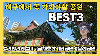 11월 여행지 추천 대구에서 꼭 가봐야할 공원 BEST3 #대구가볼만한곳 #대구12경 #대구달성공원 #대구경상감영 #대구국채보상기념공원 #11월여행지추천