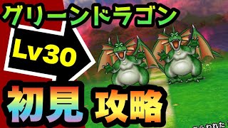 【ドラクエウォーク】仲間呼ばれてベホマラーがウザいので対処しましょう！グリーンドラゴンLv30を初見攻略！【ドラゴンクエストウォーク】